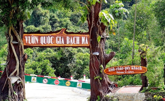 Tới vườn quốc gia Bạch Mã để hòa mình vào thiên nhiên hoang sơ