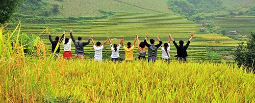 Du khách với mùa vàng Tây Bắc. Ảnh: Hoàng Kiều