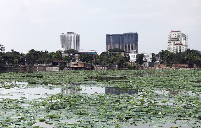 Làm rõ thông tin loạt biệt thự mọc trên đất nông nghiệp Hồ Tây