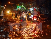 Thành phố Hồ Chí Minh xây hồ điều tiết để giảm ngập do mưa