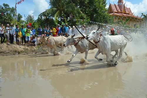 Tranh tài quyết liệt