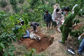 Lời khai lạnh người của nhóm thanh niên giết người chôn xác ở TP Hồ Chí Minh