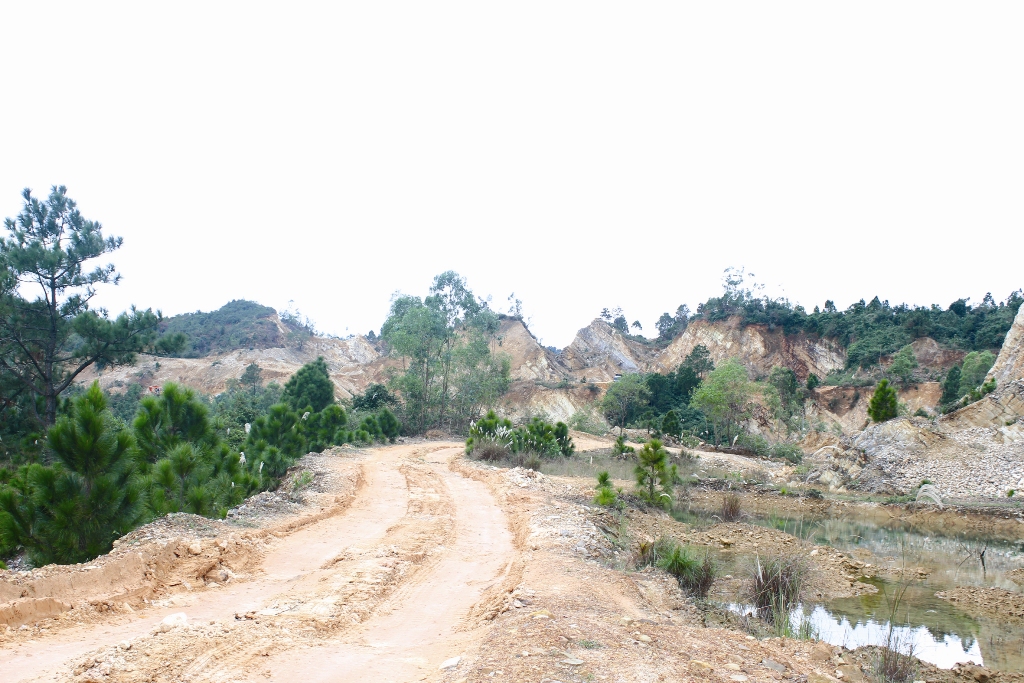 “Đất tặc” lộng hành ven quốc lộ