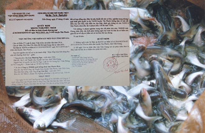 VKS đề nghị hủy toàn bộ bản án sơ thẩm vì giải quyết thiếu khách quan