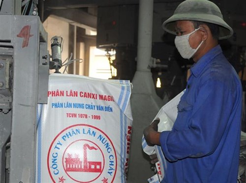 Ký hợp đồng với em ruột, làm dự án không thông qua HĐQT