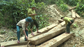 Gần 100m3 gỗ quý bị lâm tặc triệt hạ giữa rừng phòng hộ Tuyên Hóa