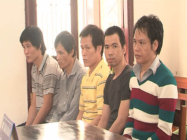 Lâm Đồng Phá rừng, 5 lâm tặc lãnh án