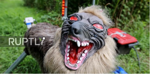 Nông dân Nhật Bản sử dụng robot quái vật để bảo vệ mùa màng