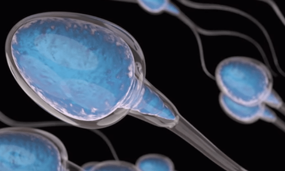 Tự ý lấy tinh trùng của mình cấy cho bệnh nhân, bác sĩ bị chính con gái đẻ khởi kiện