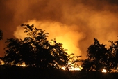 Rừng tràm bốc cháy dữ dội tại vùng ven TP Hồ Chí Minh