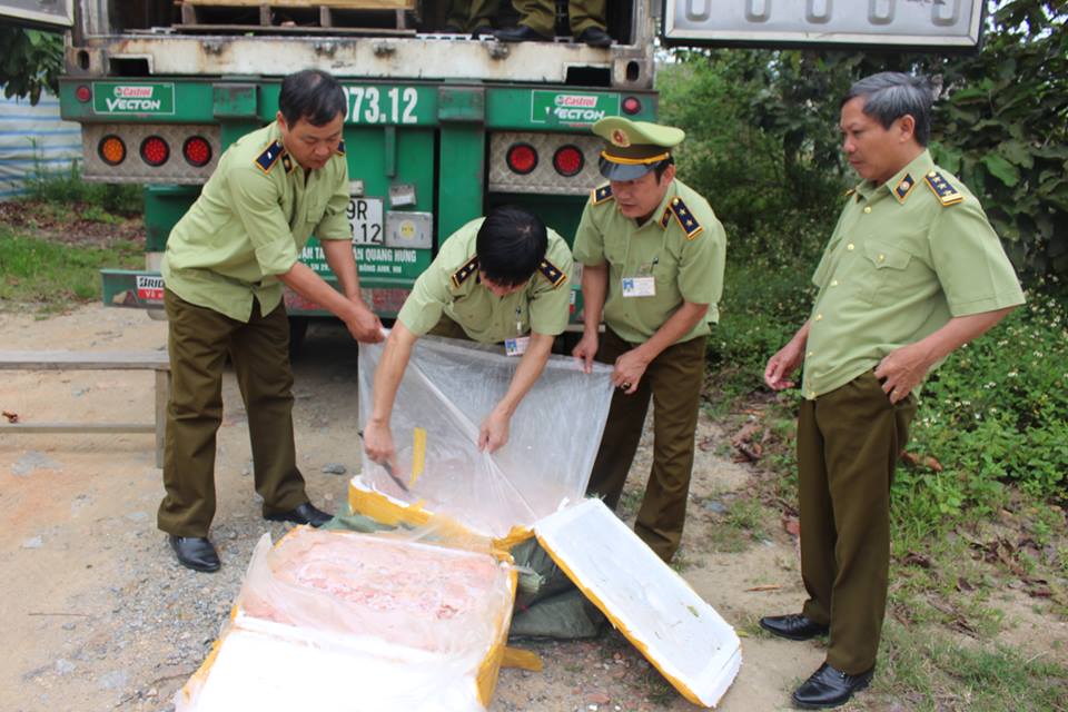 Bắt giữ xe vận chuyển 100 thùng nội tạng thối vào Nam tiêu thụ