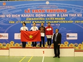 Giành 29 HCV, Việt Nam về nhất giải Vô địch Karate Đông Nam Á