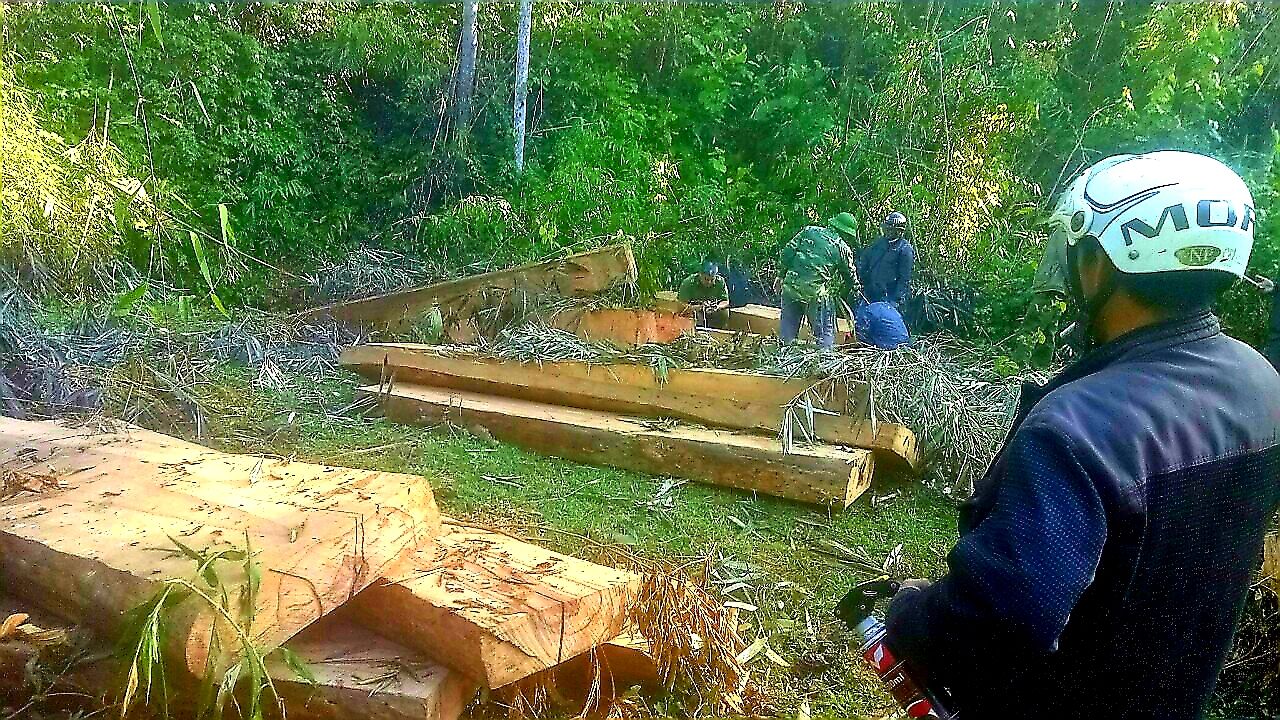 Vụ phá rừng ở Đăk Lăk Bị mất gần 8 m3 gỗ “Tang vật”, trách nhiệm thuộc về ai