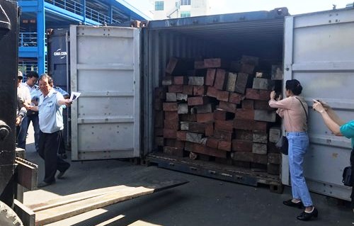 Phát hiện gần 4 tấn vảy tê tê được giấu trong các khúc gỗ