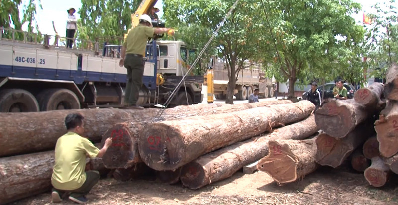 Chấn chỉnh tình trạng phá rừng, khai thác cát, sỏi trái phép
