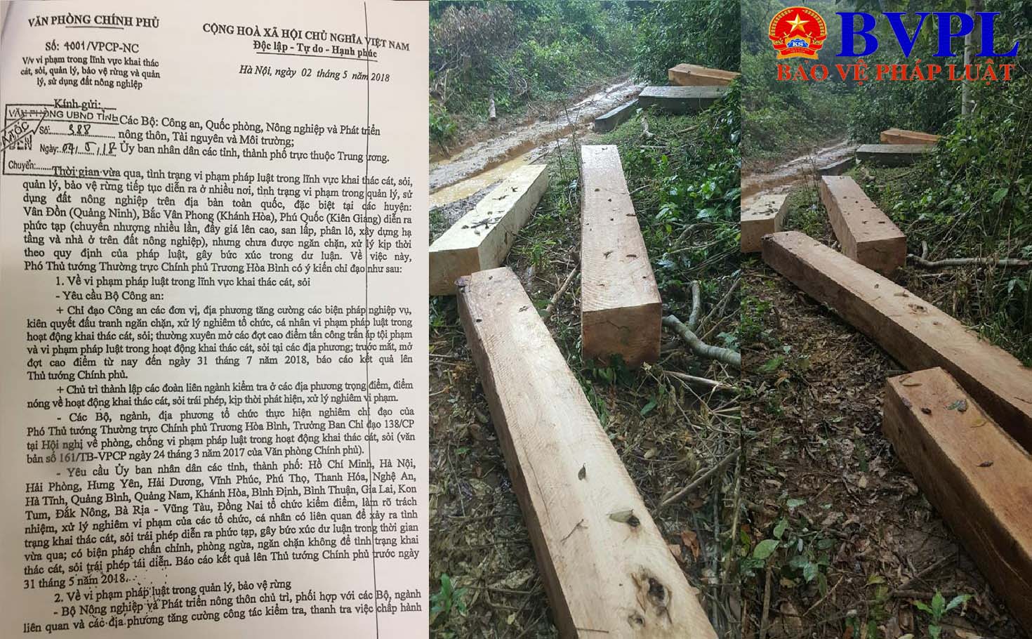 Quảng Trị Rừng phòng hộ vẫn bị tàn phá ghê gớm bất chấp công lệnh của Phó Thủ tướng