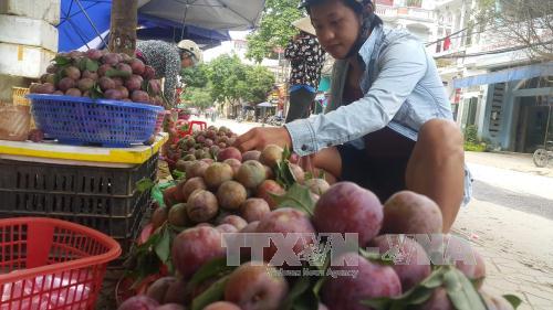 Nhiều hoạt động đặc sắc trong Tuần Văn hóa du lịch Bắc Hà