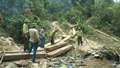 Quảng Bình Để xảy ra phá rừng, Phó Chủ tịch huyện Tuyên Hóa bị kỷ luật