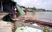 Hàng chục căn nhà ở Cần Thơ bị sụp xuống sông
