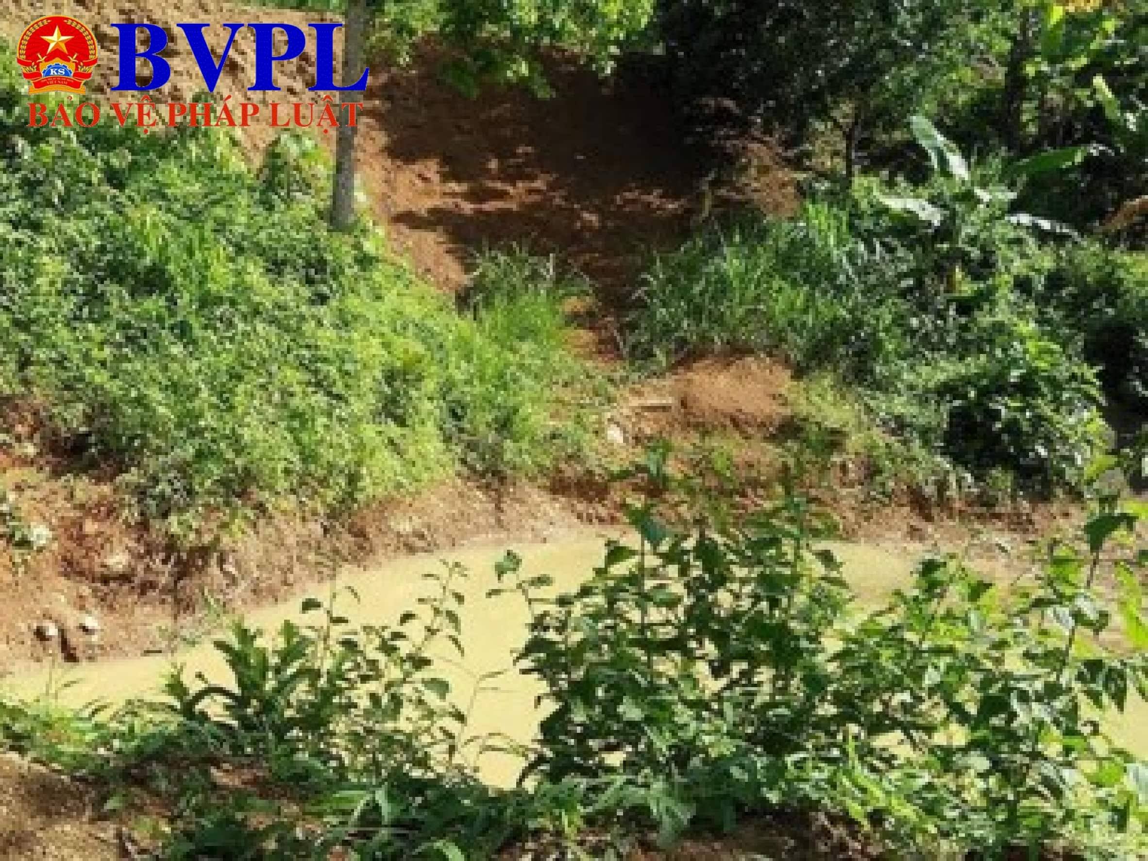 Đau lòng hai chị em bị đuối nước khi đi bắt nhái