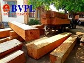 Vụ mất gỗ tang vật ở Đăk Lăk Đề nghị kiểm điểm trách nhiệm lãnh đạo công ty Lâm nghiệp