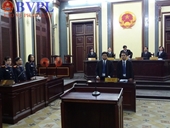 Nguyên cố vấn cao cấp của Ngân hàng Đại Tín chịu mức án 30 năm tù