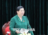 Triển khai Quyết định kiểm tra Ban Thường vụ Tỉnh ủy Ninh Bình