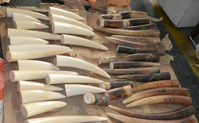 Nguyên cán bộ hải quan bị truy tố tội tham ô tài sản