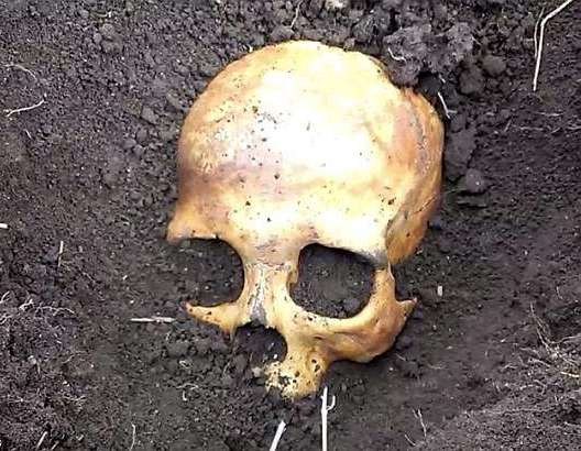 Cụ ông chết đứng khi đào thấy hộp sọ chồng cũ của vợ trong vườn