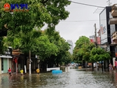 TP Vinh, Nghệ An Mưa lớn kéo dài, phố biến thành sông