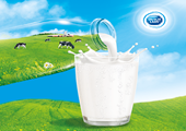 4 lưu ý giúp phát huy lợi ích của sữa tươi mẹ có biết