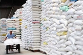 Thủ tướng Chính phủ chỉ đạo Bộ Tài chính cấp 50 790 tấn gạo hỗ trợ Thanh Hóa