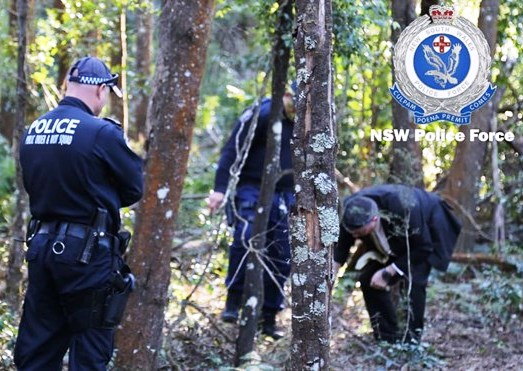 Tìm thấy hài cốt doanh nhân Australia gốc Việt sau 4 năm mất tích