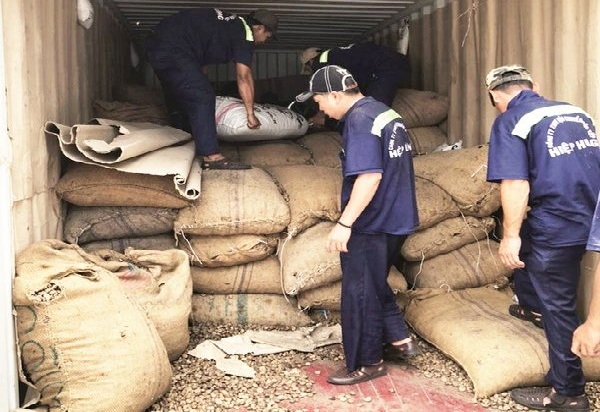 Hải quan “lật tẩy” thủ đoạn trốn thuế của Công ty CP XNK nông sản Thái Bình