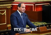 Ai Cập ban hành Luật chống tội phạm mạng và công nghệ cao
