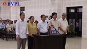 Bản án đối với 5 bị cáo trong vụ án buôn lậu gỗ trắc ở Quảng Trị