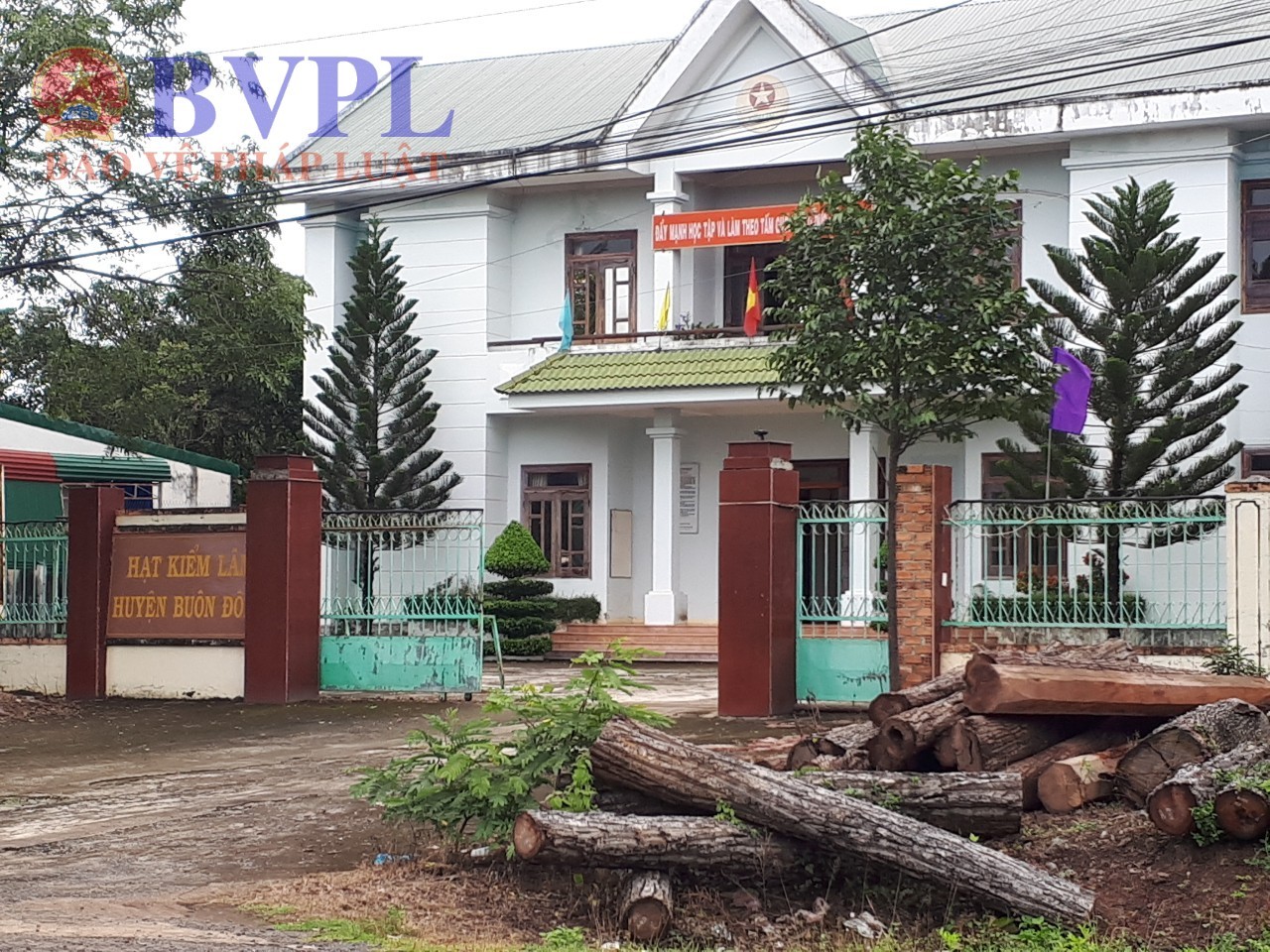 Phê chuẩn khởi tố bị can Hạt trưởng Hạt kiểm lâm về hành vi “Lợi dụng chức vụ”