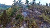 Cháy lớn liên tục nhiều ngày thiêu rụi 100 ha rừng trồng