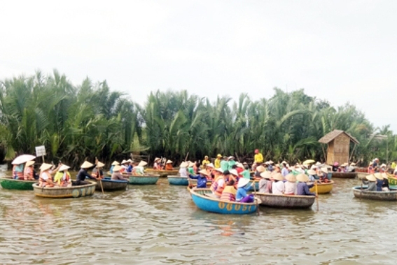 Cần dẹp bỏ tình trạng “vũ trường di động” trong rừng dừa Bảy Mẫu