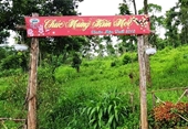 Dấu hỏi lớn về năng lực quản lý, bảo vệ rừng của tỉnh Điện Biên