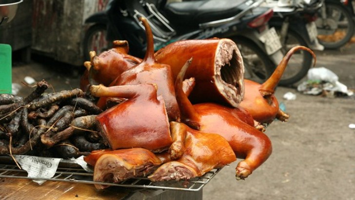 Hà Nội tuyên truyền không ăn thịt chó