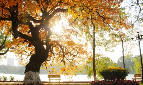 Vận động bình chọn Hà Nội vào top điểm đến hàng đầu thế giới 2018