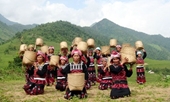 Độc đáo Tết cơm mới của đồng bào dân tộc vùng cao ở Lào Cai