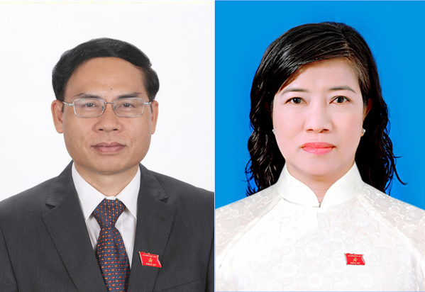 Điều động, phê chuẩn Ủy viên Thường trực 2 Ủy ban của Quốc hội