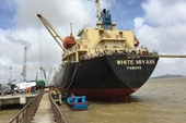 Hàng loạt sai phạm khi cổ phần hóa cảng Quy Nhơn