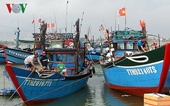 Tăng cường giải pháp chống khai thác hải sản bất hợp pháp