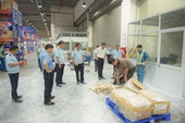 Bắt giữ 805 kg vẩy tê tê và 193 kg sản phẩm từ ngà voi tại Cửa khẩu Sân bay quốc tế Nội Bài
