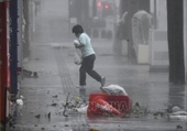 Sức gió mạnh kỷ lục, bão Trami càn quét , gây thiệt hại lớn ở Tokyo, Nhật Bản