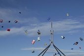 Australia bãi bỏ thuế băng vệ sinh