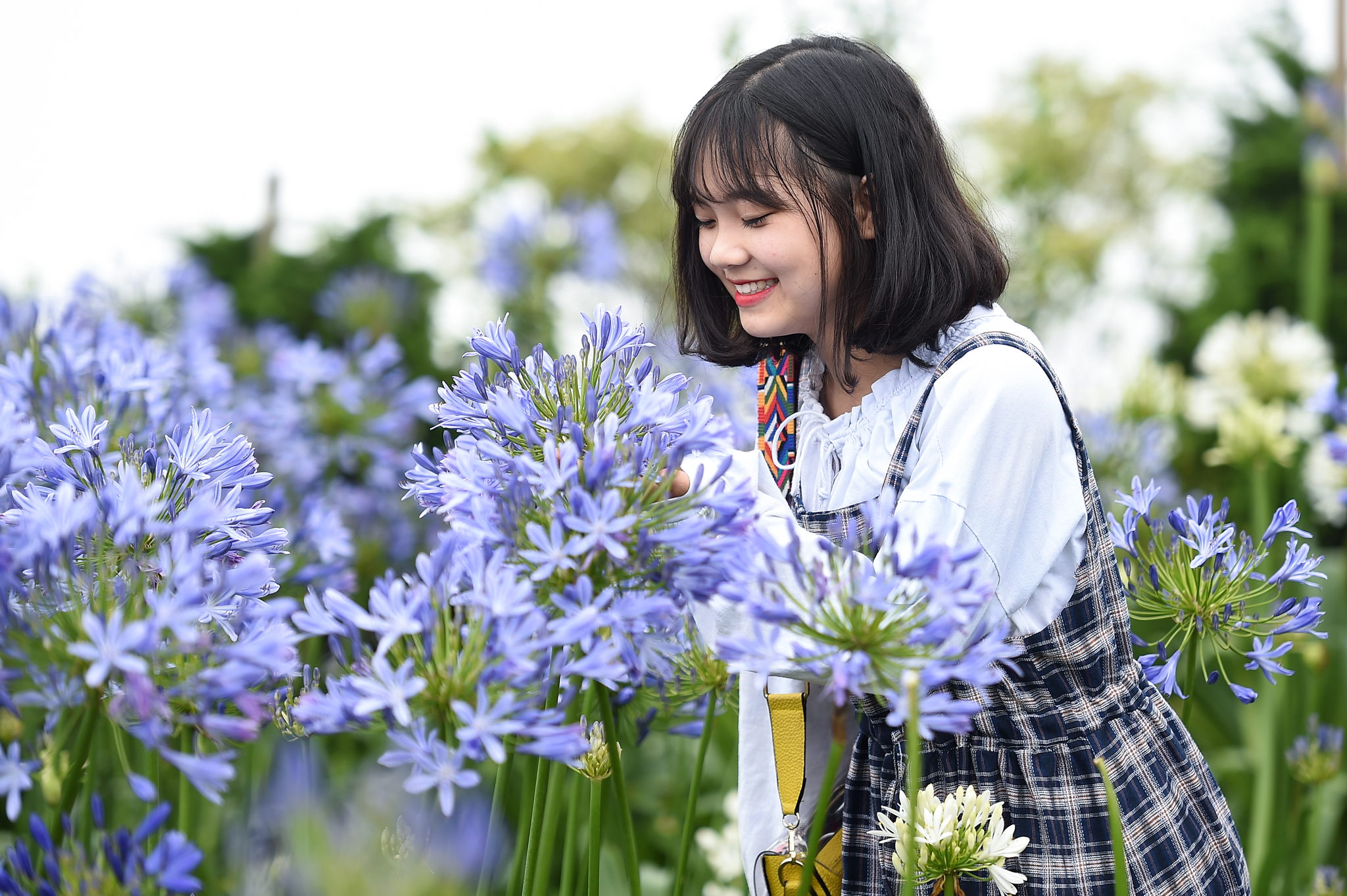 Ai đã kỳ công mang hoa lên núi